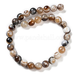 Natural Eye Agate Beads Strands&nbsp;G-NH0019-F02-01