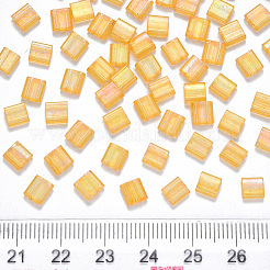 FGB 2-Hole Baking Paint Transparent Glass Seed Beads&nbsp;SEED-S031-L-251