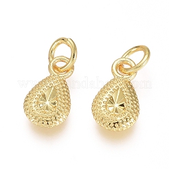 Electroplated Alloy Charms&nbsp;X-PALLOY-G267-15G