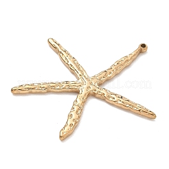 304 Stainless Steel Big Pendants&nbsp;SA-CBAD60D-06G