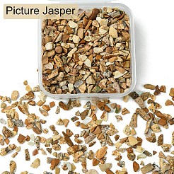 ナチュラルピクチャージャスパーチップ 50g  穴なし/ドリルなし  4~8x3~4.5x2~4mm&nbsp;G-YW0001-73