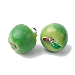 Opaque Resin Pendants&nbsp;FIND-H062-01P-02