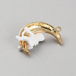 Alloy Pendants&nbsp;FIND-WH0152-746G