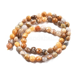 Natural Crazy Agate Beads Strands&nbsp;G-C179-A22-02