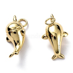 Brass Pendants&nbsp;KK-H749-01G