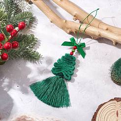 Polyester Tassel Pendant Decorations&nbsp;HJEW-JM04479-02