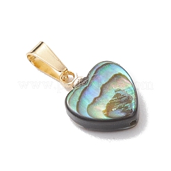 Natural Paua Shell Pendants&nbsp;PALLOY-JF05164