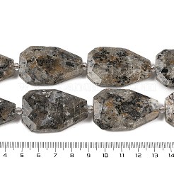 Natural Syenite Beads Strands&nbsp;G-P548-B26-01