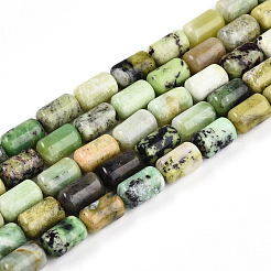 Natural Serpentine Beads Strands&nbsp;G-N346-01B-04