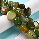 Natural Agate Beads Strands&nbsp;G-H295-D01-09-1