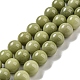 Natural Alashan Agate Beads Strands&nbsp;G-E598-03A-2