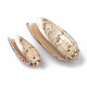Spiral Shell Pendants&nbsp;SSHEL-S258-29-3