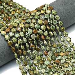 Natural Rhyolite Jasper Beads Strands, Faceted Hexagonal Cut Coin Beads, Flat Round, with Seed Beads, 8~9x5mm, Hole: 0.8mm, about 36pcs/strand, 15.16''~15.24''(38.5~38.7cm)