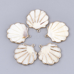 Electroplate Freshwater Shell Pendants, with Iron Findings, Shell, Light Gold, 31~31.5x28~29x3mm, Hole: 1.8mm