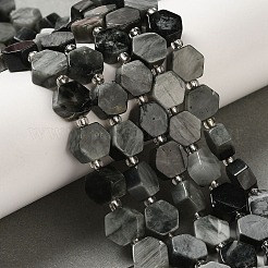 Natural Eagle Eye Stone Beads Strands&nbsp;G-P534-A14-02