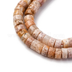 Natural Cherry Blossom Agate Beads Strands&nbsp;G-Z006-C48