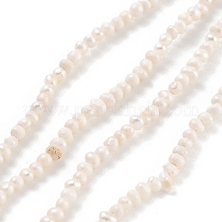 天然養殖淡水パールビーズ連売り  ポテト  古いレース  1.8~2.2mm  穴：0.5mm  約95~97個/連  7.09~7.28インチ（18~18.5cm）&nbsp;PEAR-C003-03