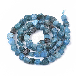 Natural Apatite Beads Strands&nbsp;X-G-S363-046A