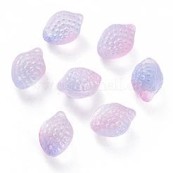 Transparent Glass Charms&nbsp;GLAA-H102-D02