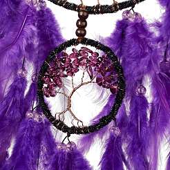 Iron & Brass Wire Woven Web/Net with Feather Pendant Decorations&nbsp;AJEW-B017-16