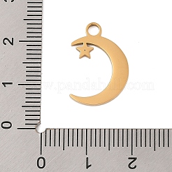 304 Stainless Steel Pendants&nbsp;STAS-P377-02G