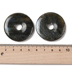 Natural Labradorite Pendants&nbsp;G-F524-H09