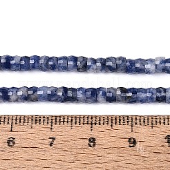 Natural Blue Spot Jasper Beads Strands&nbsp;G-Q606-46A-02