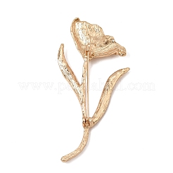 Alloy Brooch Pins&nbsp;AL-CBAF606-03G
