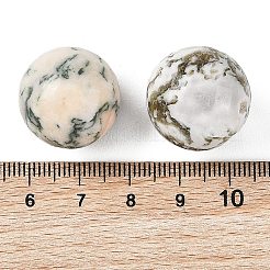 Natural Tree Agate Sphere Beads&nbsp;GG-D003-A02