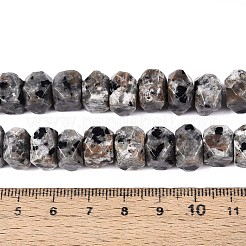 Natural Syenite Beads Strands&nbsp;G-D091-A32