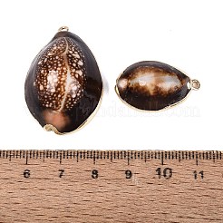 電気メッキ天然タカラガイシェルペンダント  ゴールドトーンの鉄製ループと真鍮製の縁取りが付いた貝殻チャーム  サドルブラウン  26~36x16~24x10~16.5mm  穴：1.8mm&nbsp;SSHEL-Q100-54G