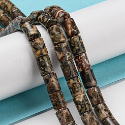 天然ヒョウ肌ジャスパービーズ連売り  コラム  7.5~8x6mm  穴：1.2mm  約48~50個/連  15.16''~15.31''（38.5~38.9センチメートル）&nbsp;G-Q1008-A06