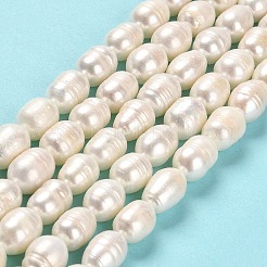 Natural Cultured Freshwater Pearl Beads Strands&nbsp;PEAR-E016-067