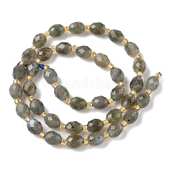 Natural Labradorite Beads Strands&nbsp;G-F809-A40-01