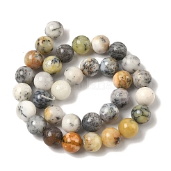 Natural African Opal Beads Strands&nbsp;G-B048-B03-04