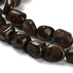 Natural Bronzite Beads Strands&nbsp;G-P497-01E-77