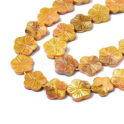 Natural Freshwater Shell Beads Strands&nbsp;SHEL-Q025-002E
