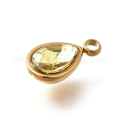 304 Stainless Steel Pendants&nbsp;STAS-Q346-04G-06