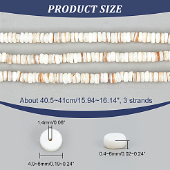 3 Strands Natural Shell Beads Strands&nbsp;SSHEL-NB0001-44A