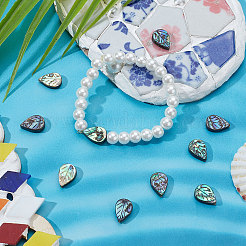 Natural Abalone Shell/Paua Shell Beads&nbsp;SHEL-BBC0001-01