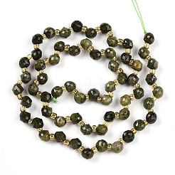 Natural Canadian Jade Beads Strands&nbsp;G-T141-57