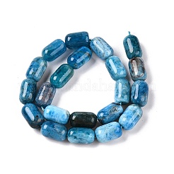 Natural Apatite Beads Strands&nbsp;G-G980-51B