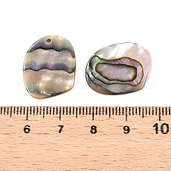 Natural Paua Shell Pendants&nbsp;X-SHEL-T020-11A