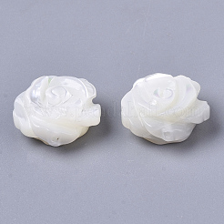 天然トロチッドシェル/トロカスシェルビーズ  両面  花  貝殻色  10x5mm  穴：0.8mm&nbsp;SSHEL-N034-40B-01