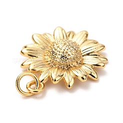 Brass Pendants&nbsp;KK-G399-27