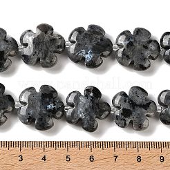 天然ラルビカイトビーズ連売り  5  - 花びらの花  シードビーズで  20x6.5mm  穴：1mm  約20個/連  15.75''（40センチメートル）&nbsp;G-L241A-21