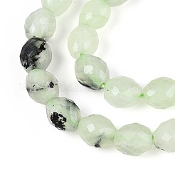 天然石プレナイトビーズ連売り  バレル  多面カット  5.5~6.5x5~5.5mm  穴：1~1.2mm  約57~61個/連  13.98~14.17''（35.5~36センチメートル）&nbsp;G-T142-82