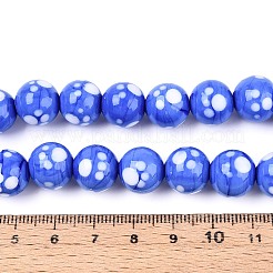 Handmade Lampwork Beads Strands&nbsp;LAMP-N028-21G