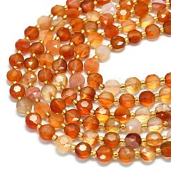 Natural Red Agate Beads Strands&nbsp;G-C116-A12-02