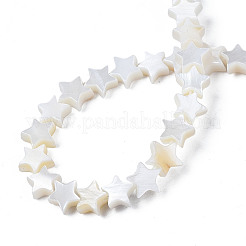 Natural Freshwater Shell Beads Strands&nbsp;LS-SHEL-S278-01A-01
